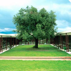 Exterior de Lab Circuits