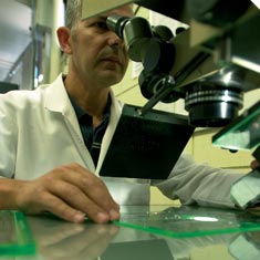 Laboratorio