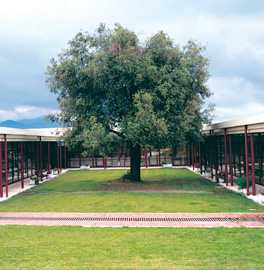 Environment